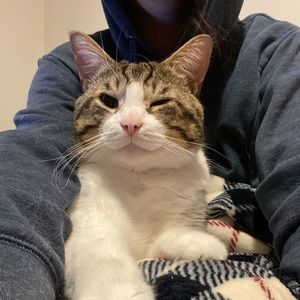 Meet your Posher, Audrey